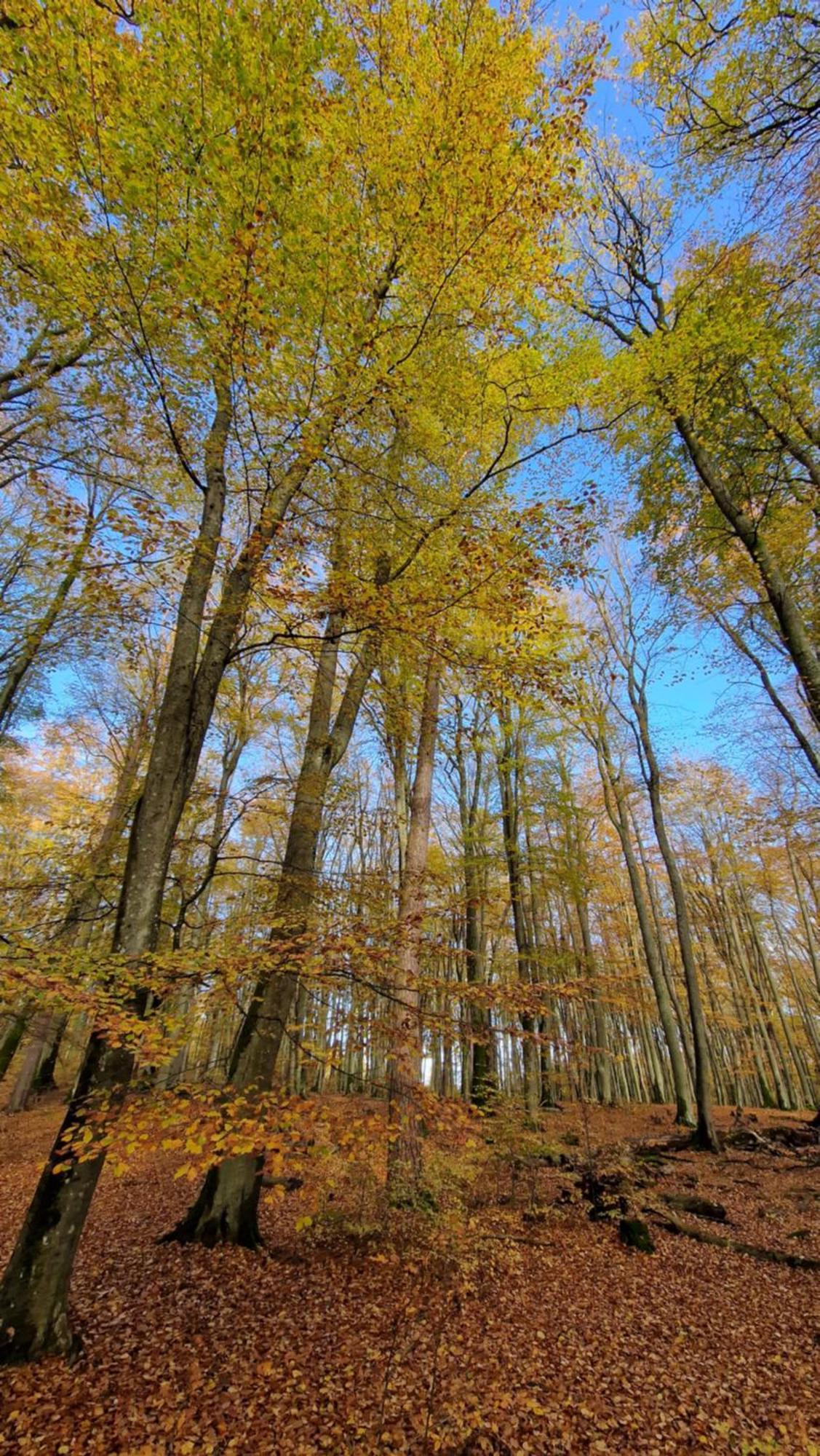 Willa Abrazja - Wypoczynek Dla Doroslych Jastrzebia Gora Bagian luar foto